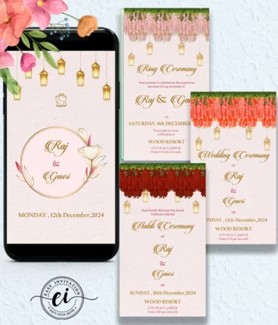 Beautiful Delicate Indian Wedding E Invitation